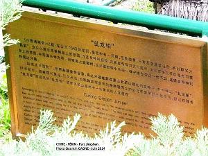 Pekin Jingshan 60